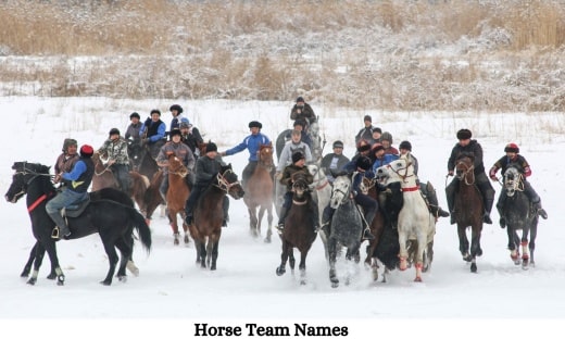 Horse Team Names.1