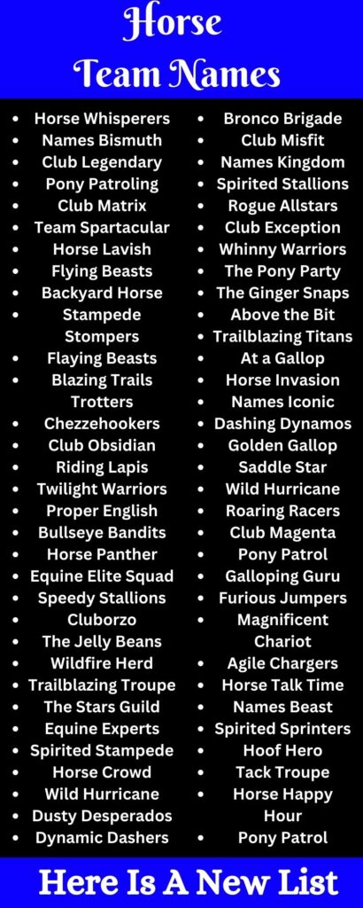 544+ Funny Horse Team Names Ideas For Equestrian Enthusiasts