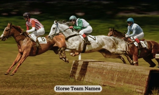Horse Team Names