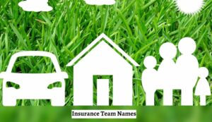 Insurance Team Names1